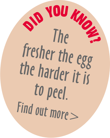 The  fresher the egg  the harder it is  to peel.