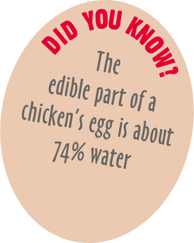 The  edible part of a chicken’s egg is about 74% water