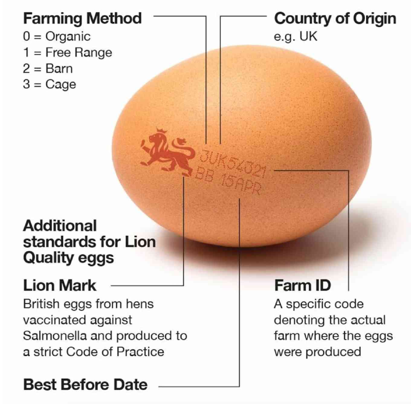 The British Lion Mark Explained | Our Eggs | Ellis Eggs